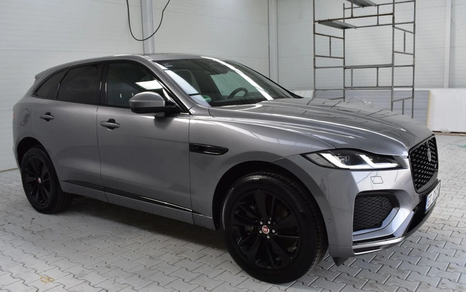 Jaguar F-Pace cena 204900 przebieg: 62000, rok produkcji 2020 z Ryn małe 781